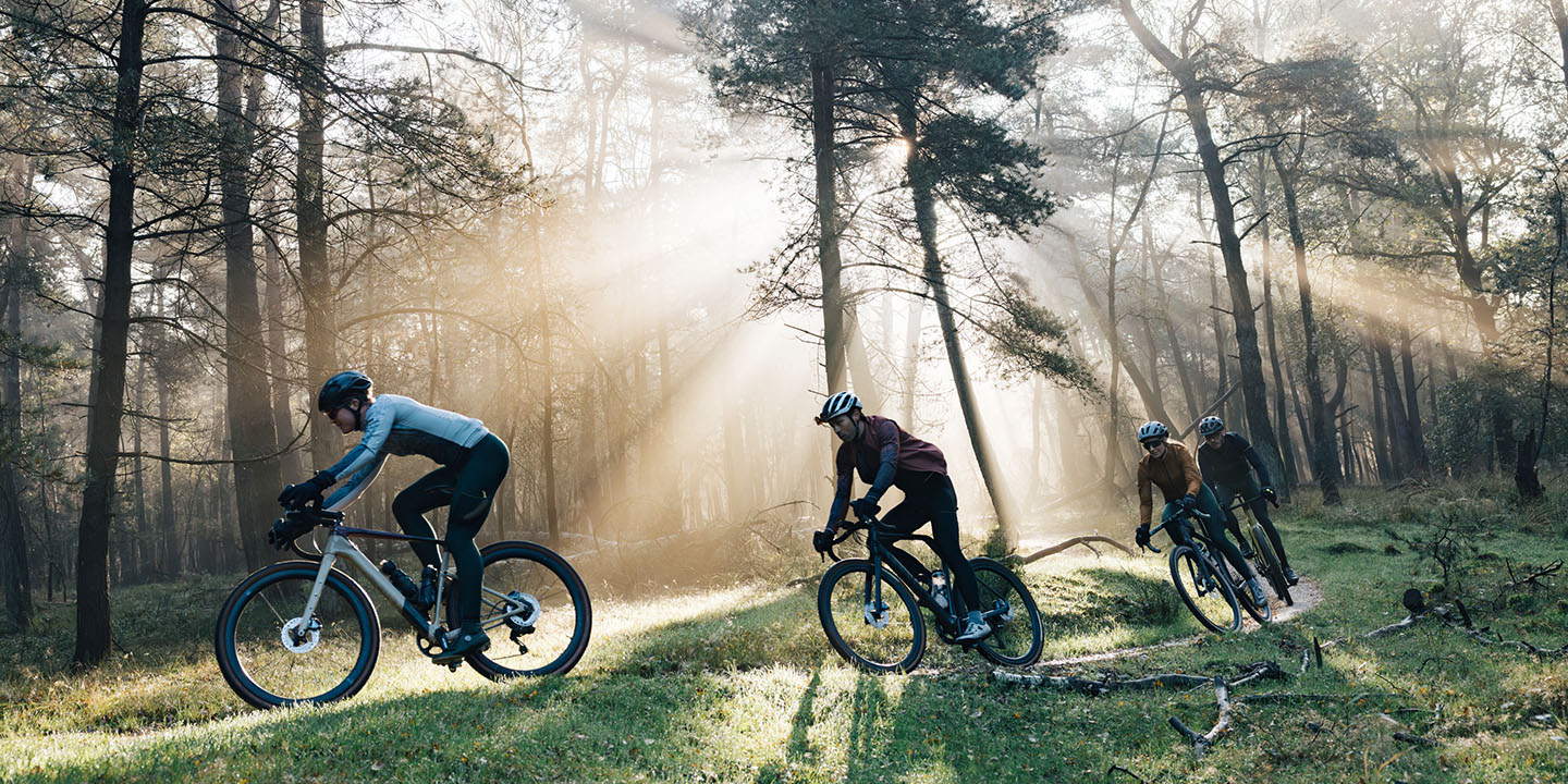 Four cyclists riding through a forest with sunlight streaming through the trees