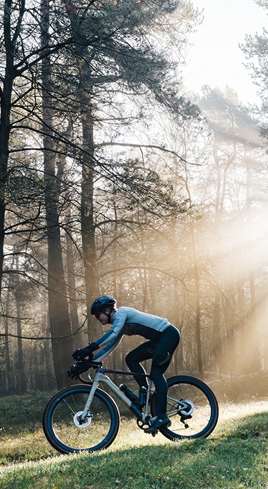 Four cyclists riding through a forest with sunlight streaming through the trees