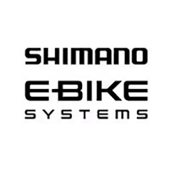 MTB E-BIKE E6100