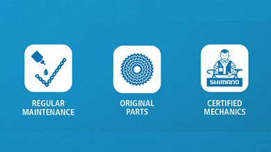 Regular Maintenance, Original Parts, Certified Mechanics