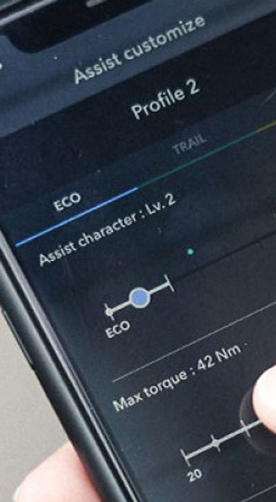 Person holding a smartphone displaying a customization app screen