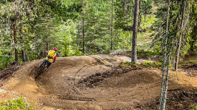 Mountain biker navigating a forest trail