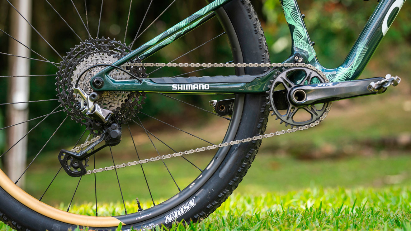 Close-up of a bicycle chain and gears on green grass.