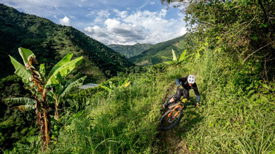 Mountain biker riding downhill on a lush green trail with scenic mountain views and blue sky in the background