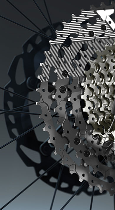 Close-up of a mountain bike's rear derailleur and cassette